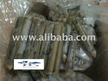 razor clam / bamboo shell / bamboo snail - product's photo