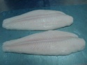 frozen pangasius fillet - product's photo
