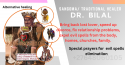 love spells +27648060105 gay love spell that works in kuwait, nashvill - product's photo