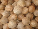 fresh mature coconut - product's photo