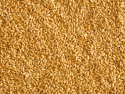 wheat - product's photo