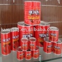 canned tomato paste - product's photo