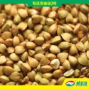 buckwheat - product's photo