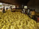 fresh potatoes - product's photo