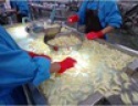 frozen white peach - product's photo