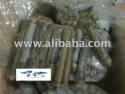 razor clam / bamboo shell / bamboo snail - product's photo