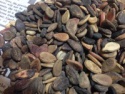 watermelon seeds - product's photo